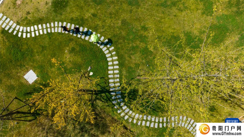 第三代试管婴儿流程指南,费用、过程、成功率全解读(图6) 贵州百里杜鹃:拓展旅游业态 激活秋冬旅游季(图6)