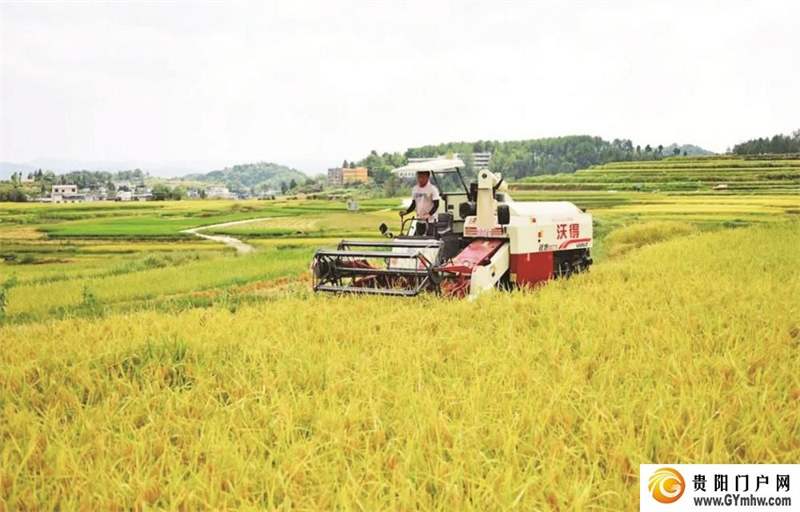 碧江:“四个统筹”推动“强村富民”走深走实(图1) 碧江:“四个统筹”推动“强村富民”走深走实(图1)