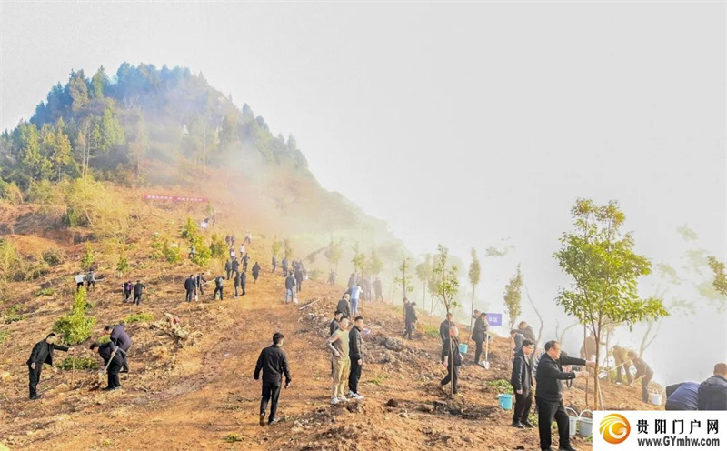 铜仁市2024年义务植树活动举行(图2) 铜仁市2024年义务植树活动举行(图2)