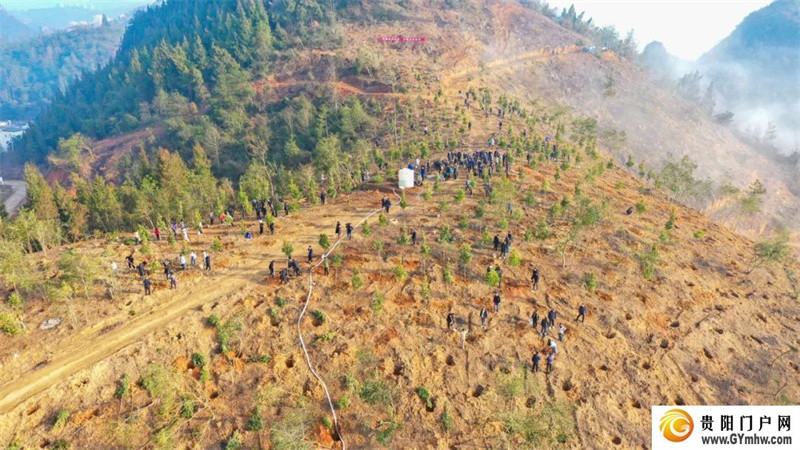 铜仁市2024年义务植树活动举行(图3) 铜仁市2024年义务植树活动举行(图3)