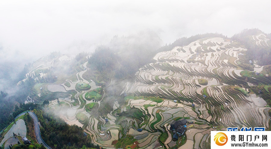 贵州从江：雾漫梯田(图3)