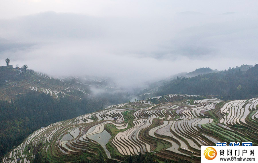 贵州从江：雾漫梯田(图6)