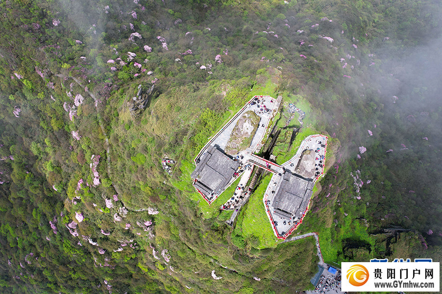 贵州梵净山:繁花似锦醉游人(图2) 贵州梵净山:繁花似锦醉游人(图2)
