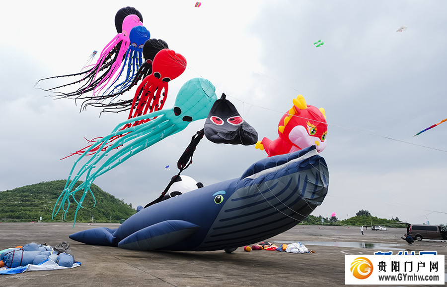 2024年贵阳白云国际风筝会暨全国风筝邀请赛举行(图5) 2024年贵阳白云国际风筝会暨全国风筝邀请赛举行(图5)