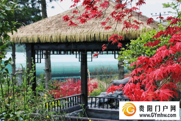 贵阳邀请长沙市民开启“和美乡村清凉之旅”(图6) 贵阳邀请长沙市民开启“和美乡村清凉之旅”(图6)