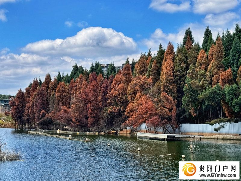 初秋的贵阳 贵阳贵安将在国庆前夕大幅降温!(图1)