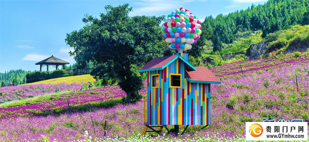 贵州麻江:五彩花海引客来(图5) 贵州麻江:五彩花海引客来(图5)