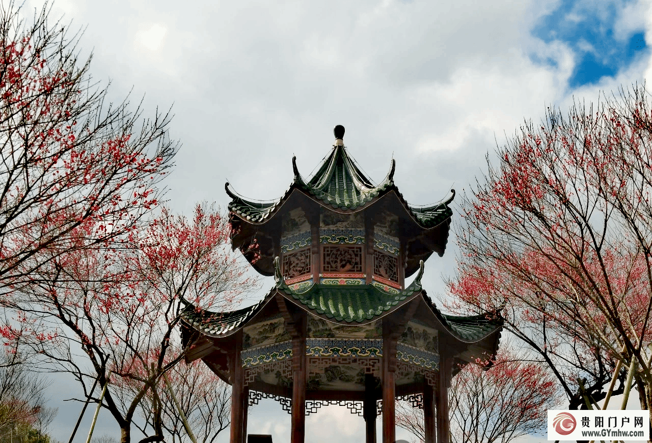 本周六开园!贵州梅园游玩攻略(图4) 本周六开园!贵州梅园游玩攻略(图4)