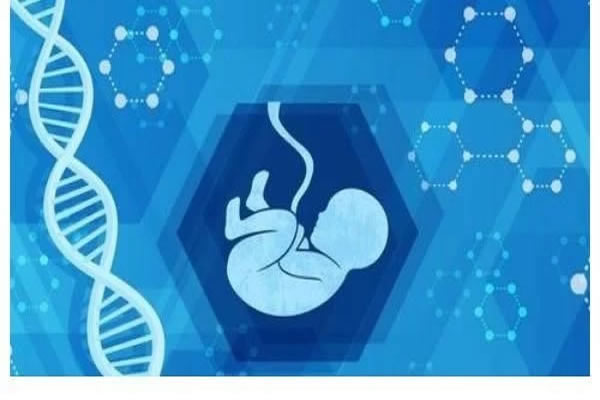 三代试管婴儿 试管移植后容易着床的姿势一览!详细介绍试管移植后的最佳睡姿(图2)