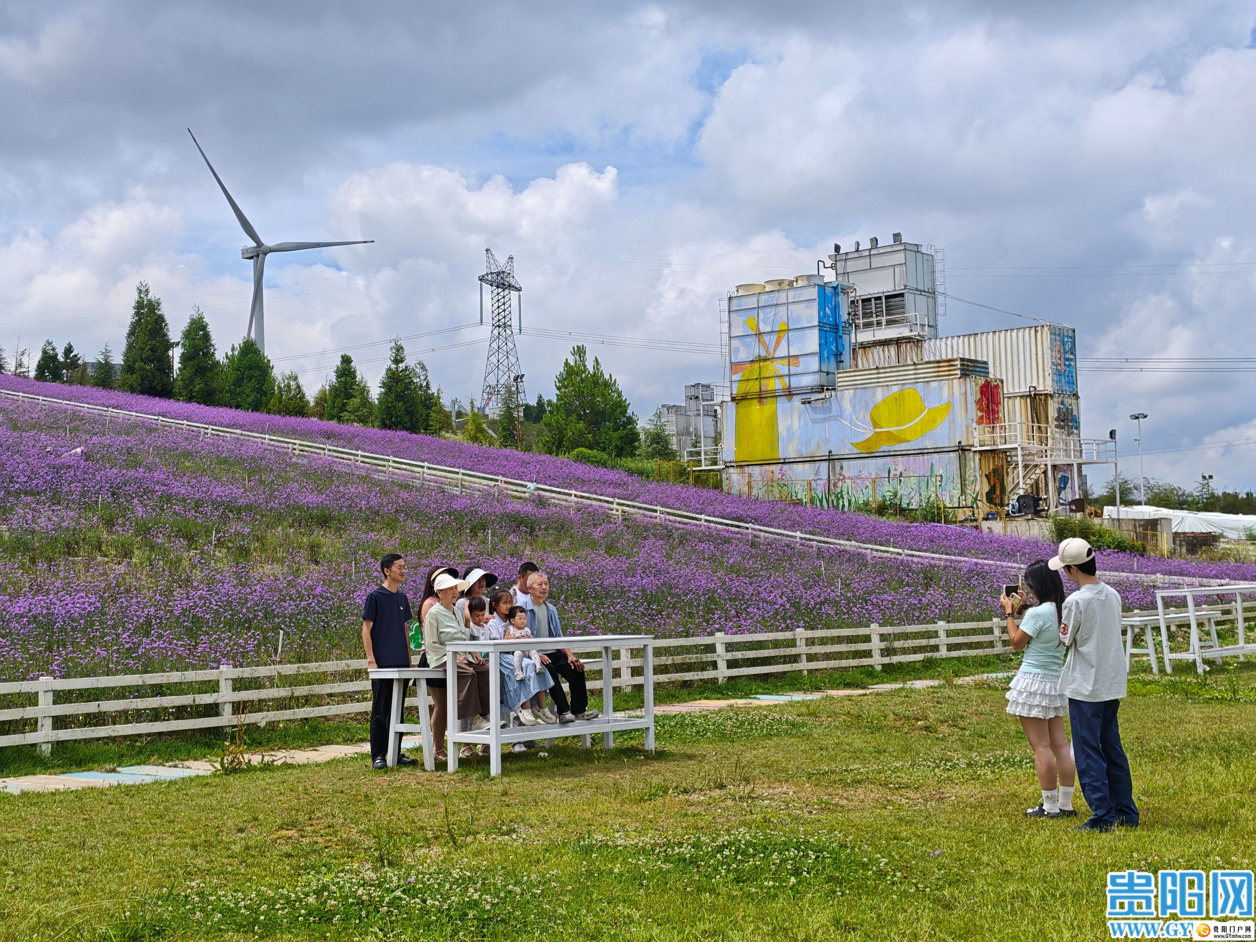 花溪区高坡乡打造云顶花海吸引游客避暑赏花(图4)